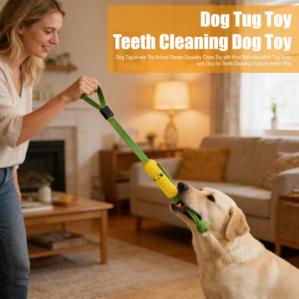 Suction Cup Dog Tug Toy - Brinquedo de Puxar com Corda de