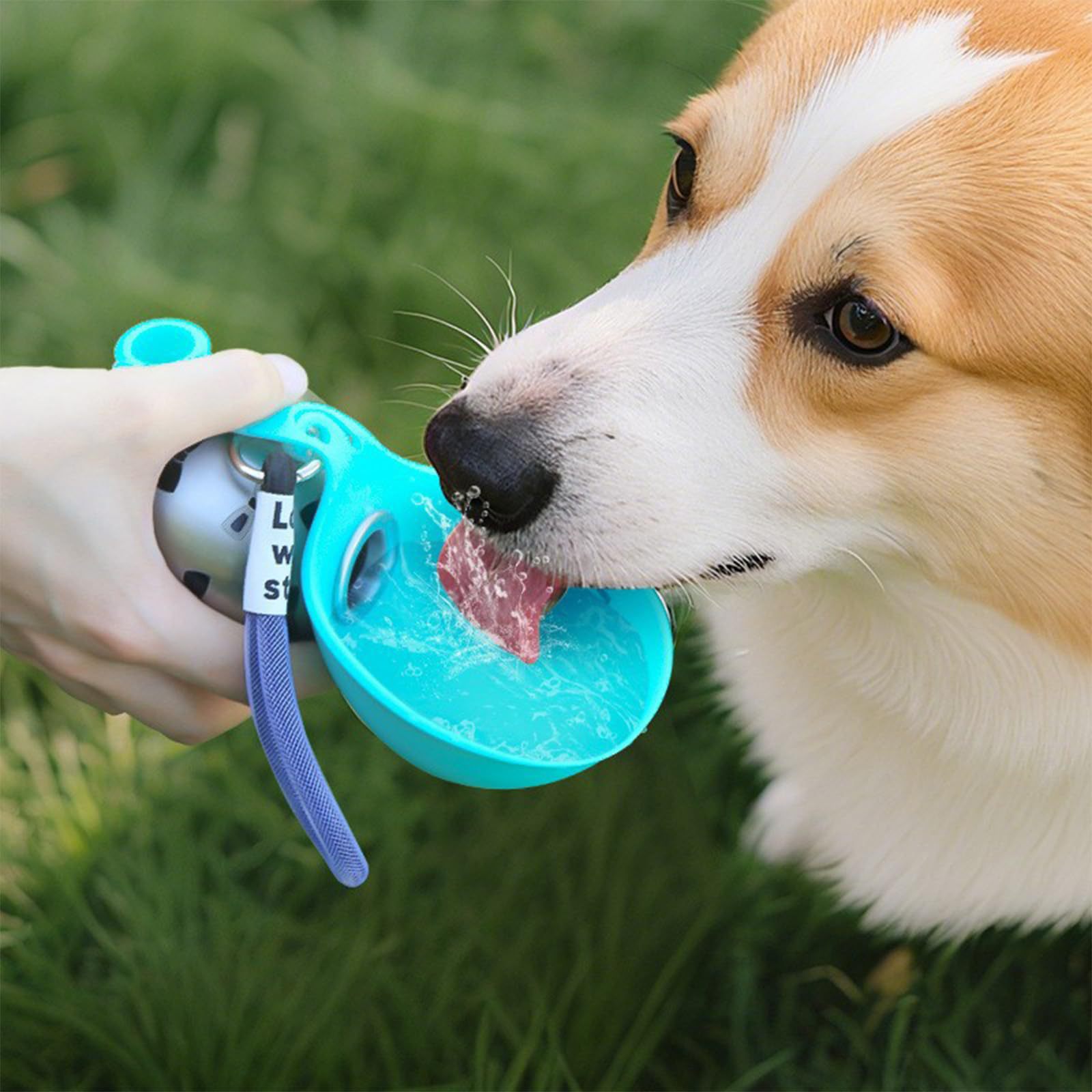 Pet Feeders - Dispensador de água portátil de silicone