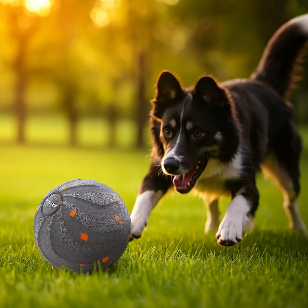 Automatic Moving Dog Ball - Mordida resistente inteligente cão brinquedo bola
