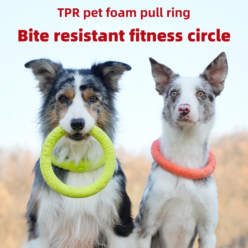Flying Disc Dog Training Toy - Disco Flutuante Interativo para Cães em