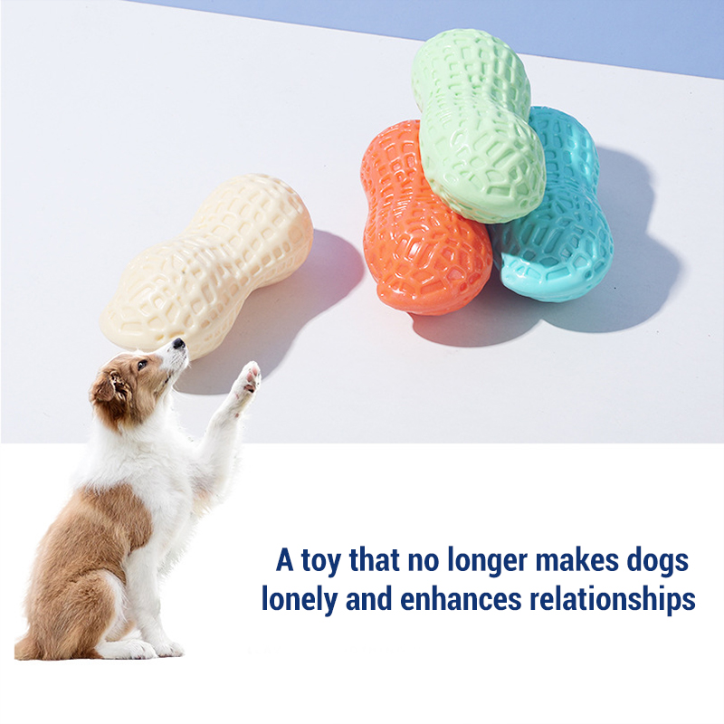 Teeth Cleaning Dog Chew Bone - Brinquedos de mastigar para cães em