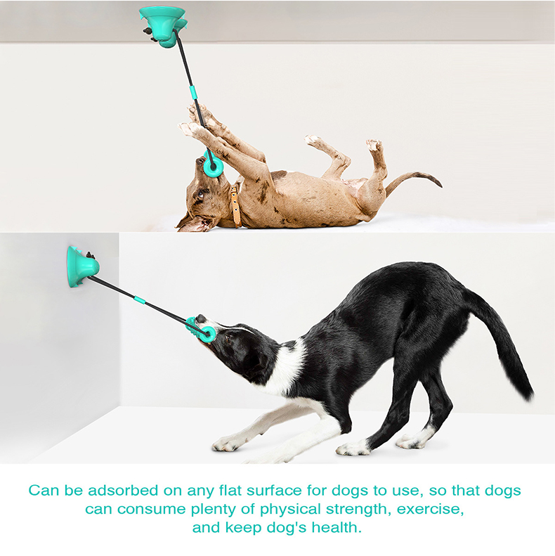 Suction Cup Dog Tug Toy - Brinquedo de mastigar para cães com
