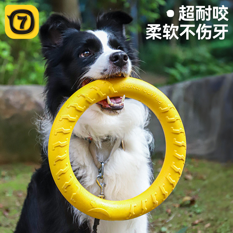 Flying Disc Dog Training Toy - Brinquedo de Mastigar para Cães: Disco