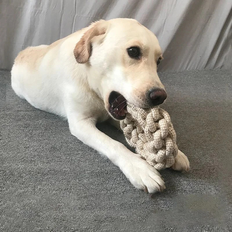 Brinquedos de Corda Duráveis p - Dog Rope Toy Aggressive Chewers avaliação e preço