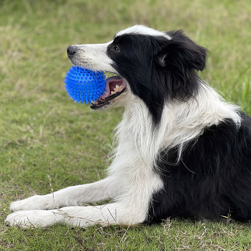 Brinquedo de Bola Espinhosa TP - Interactive Squeaky Plush Dog Toy avaliação e preço