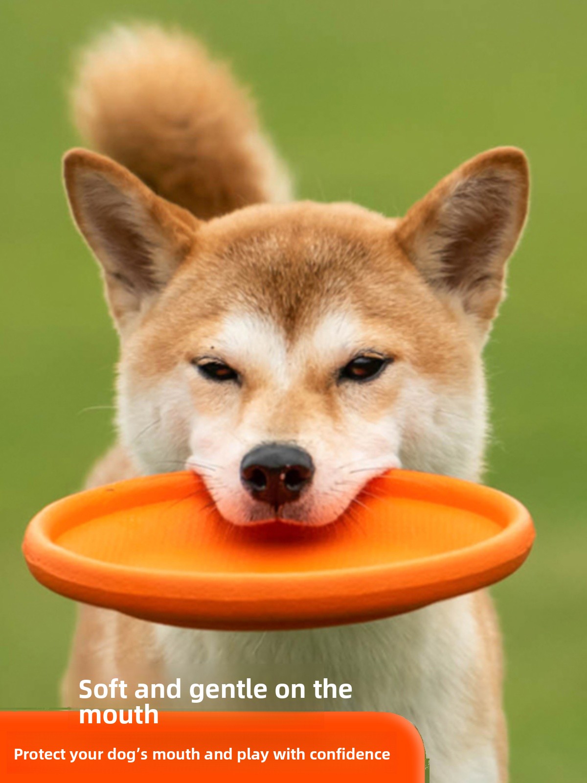 Disco Voador para Cães, Macio, - Flying Disc Dog Training Toy avaliação e preço