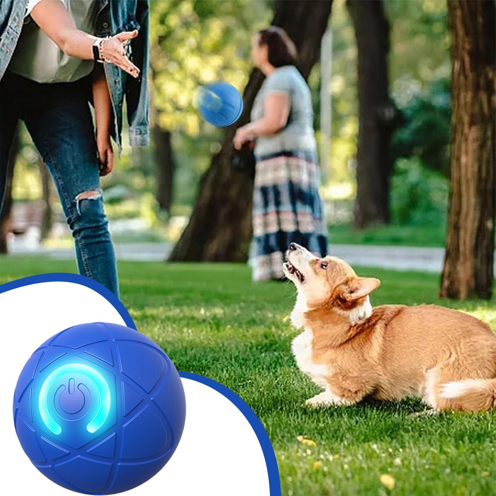 Brinquedos Interativos Intelig - Automatic Moving Dog Ball avaliação e preço