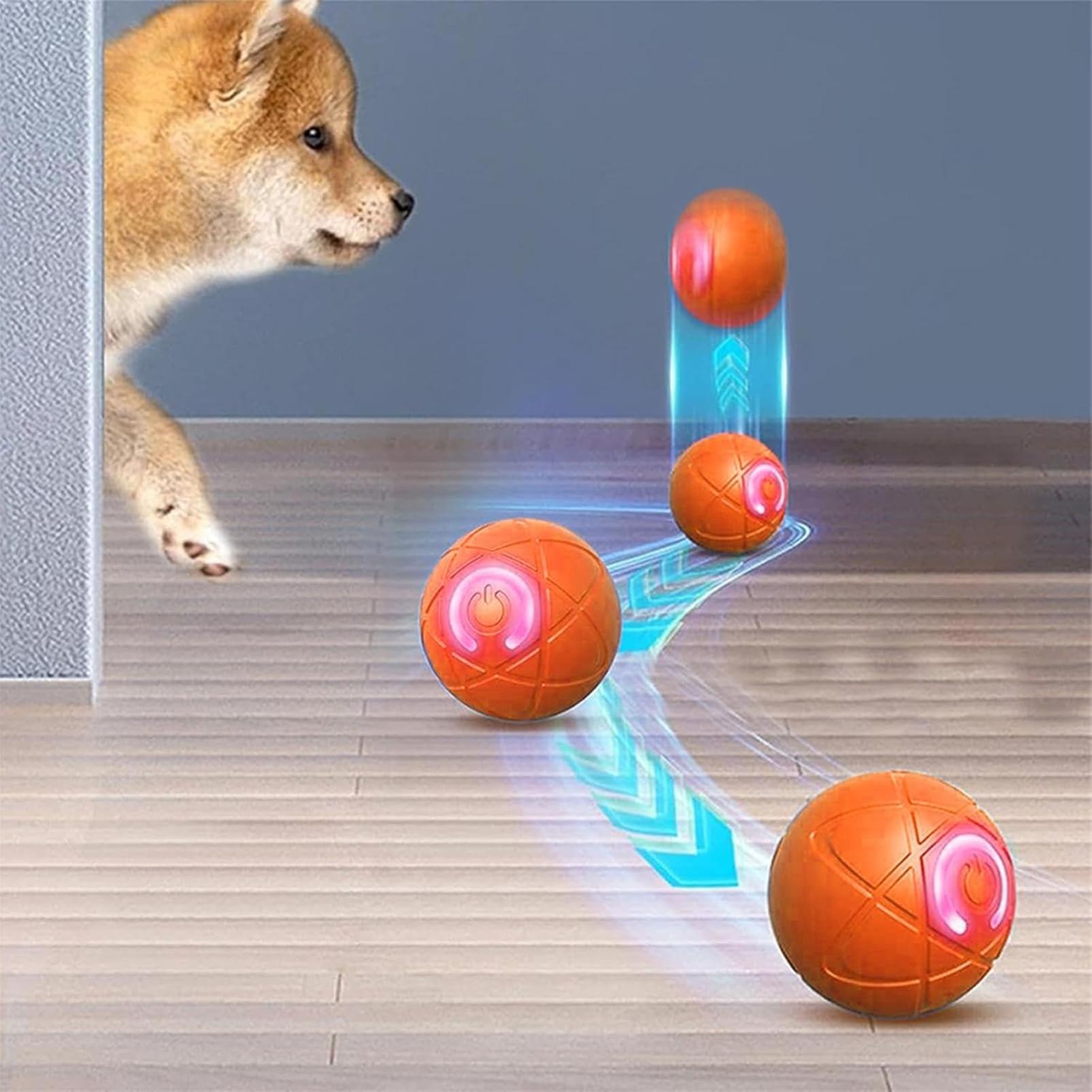 Brinquedos Interativos Intelig - Automatic Moving Dog Ball avaliação e preço