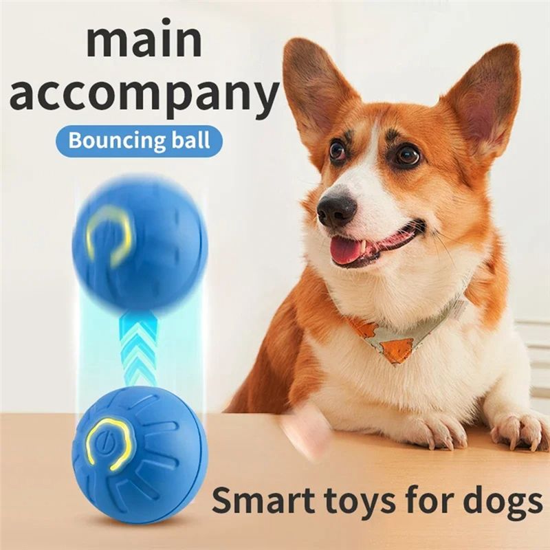 Bola Eletrônica Interativa Int - Automatic Moving Dog Ball avaliação e preço