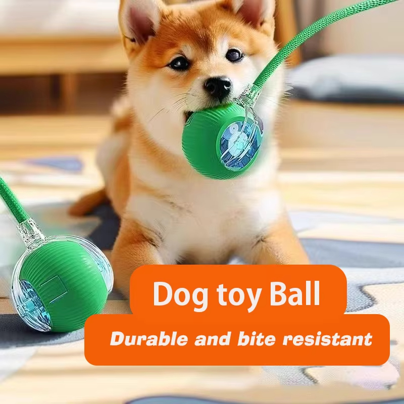 Novo Brinquedo Interativo para - Automatic Moving Dog Ball avaliação e preço