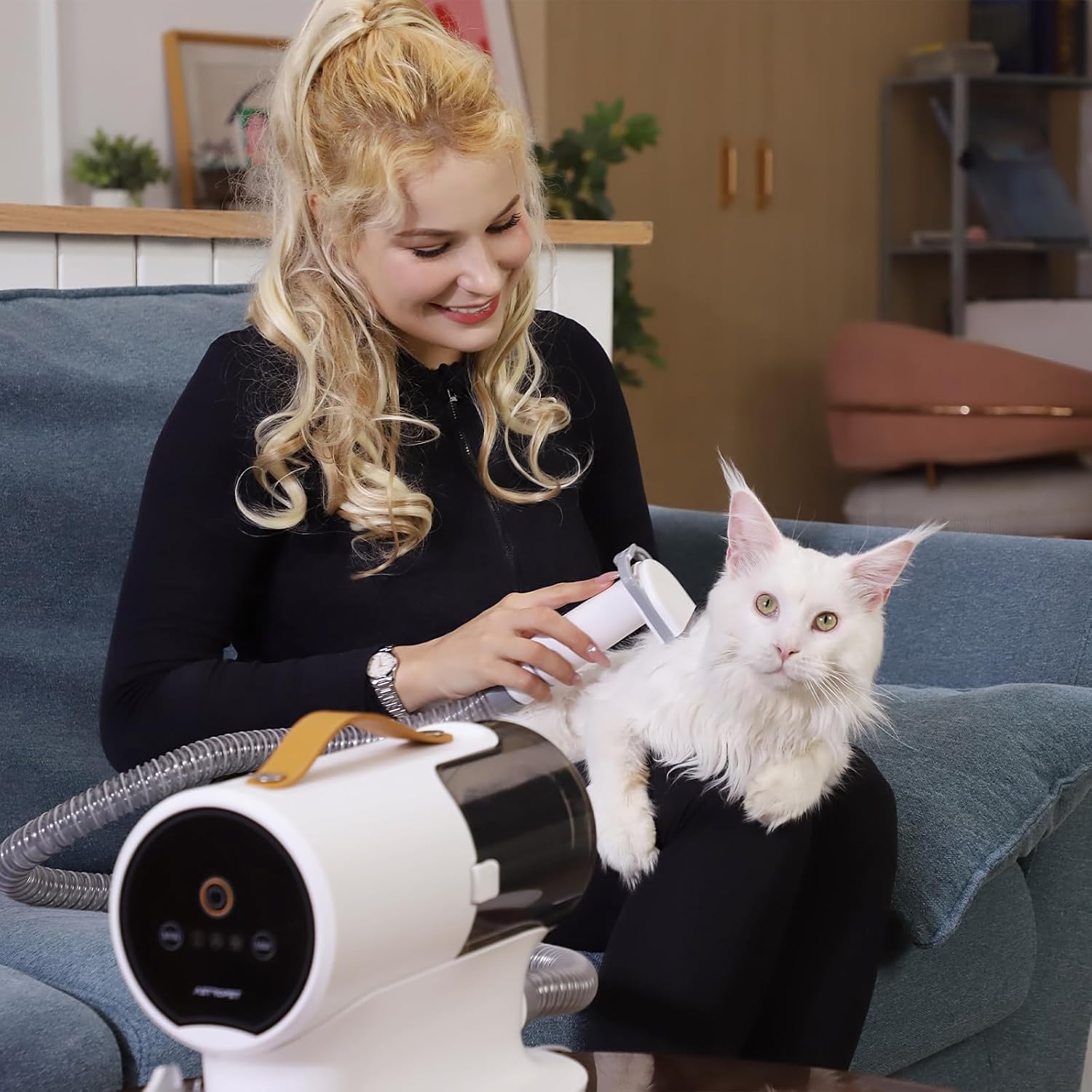 Aspirador de Pelos para Animai - Pet Grooming avaliação e preço