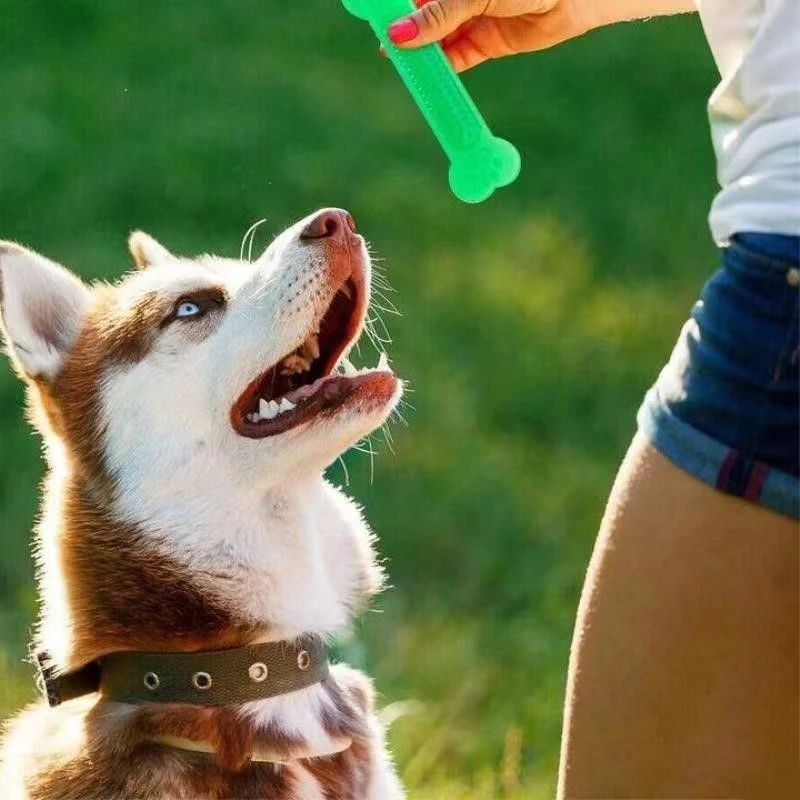 Brinquedo de mastigar osso de  - Teeth Cleaning Dog Chew Bone avaliação e preço