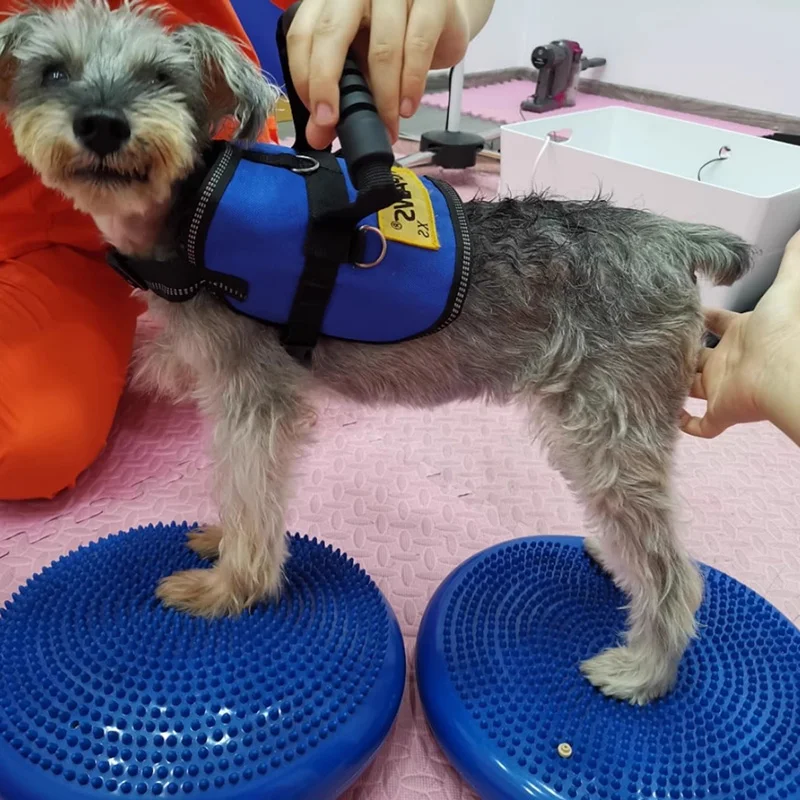 Balance Flying Saucer para Ani - Flying Disc Dog Training Toy avaliação e preço