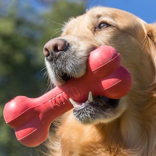 Osso de Borracha Natural Cláss - Rubber Treat Dispensing Dog Toy avaliação e preço