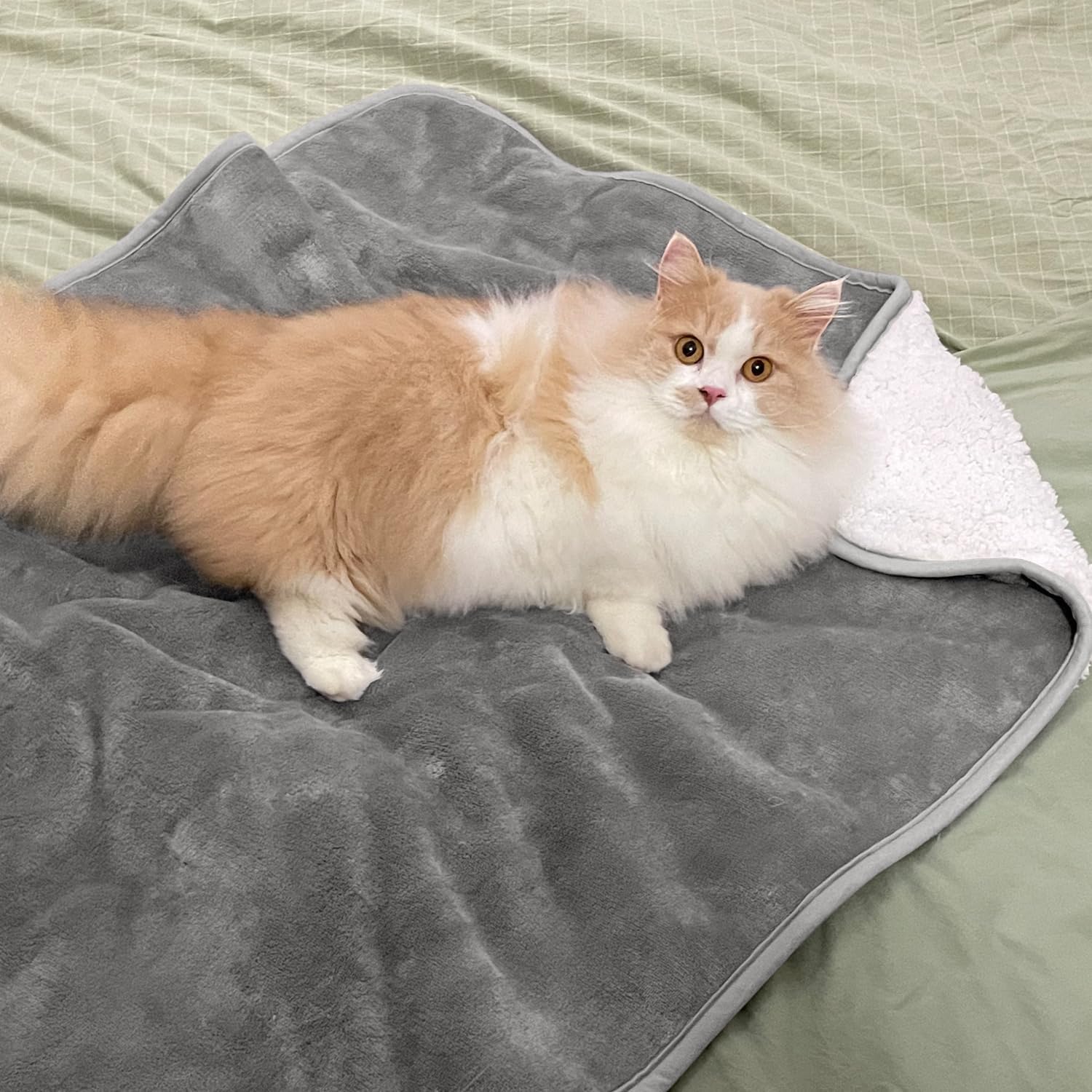 Cobertor para Animais de Estim - Pet Beds avaliação e preço