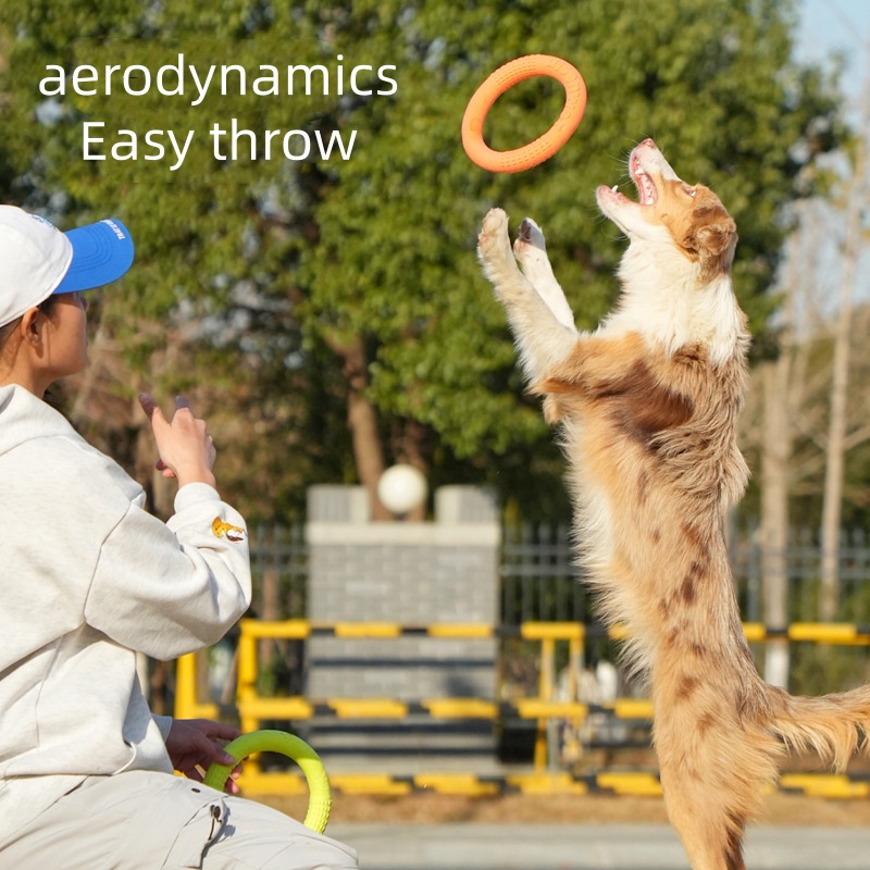 Disco Flutuante Interativo par - Flying Disc Dog Training Toy avaliação e preço