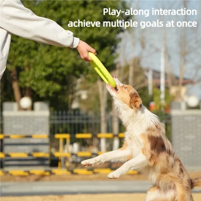 Disco Flutuante Interativo par - Flying Disc Dog Training Toy avaliação e preço