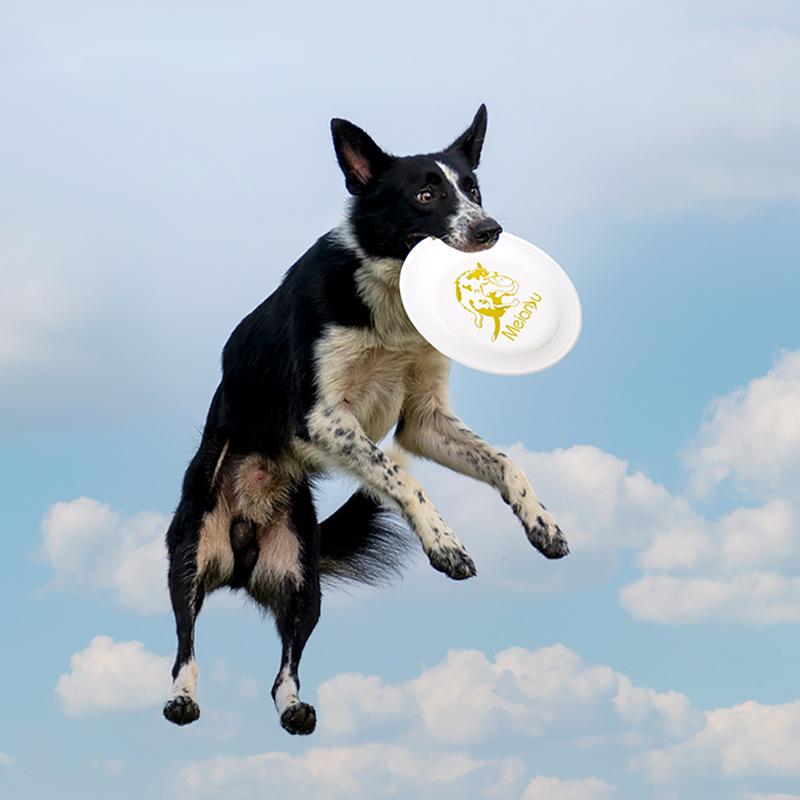 OUZEY-Brinquedos disco voador  - Flying Disc Dog Training Toy avaliação e preço