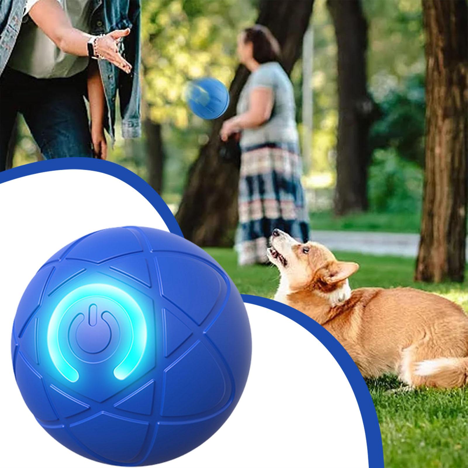 Brinquedo Interativo Eletrônic - Automatic Moving Dog Ball avaliação e preço