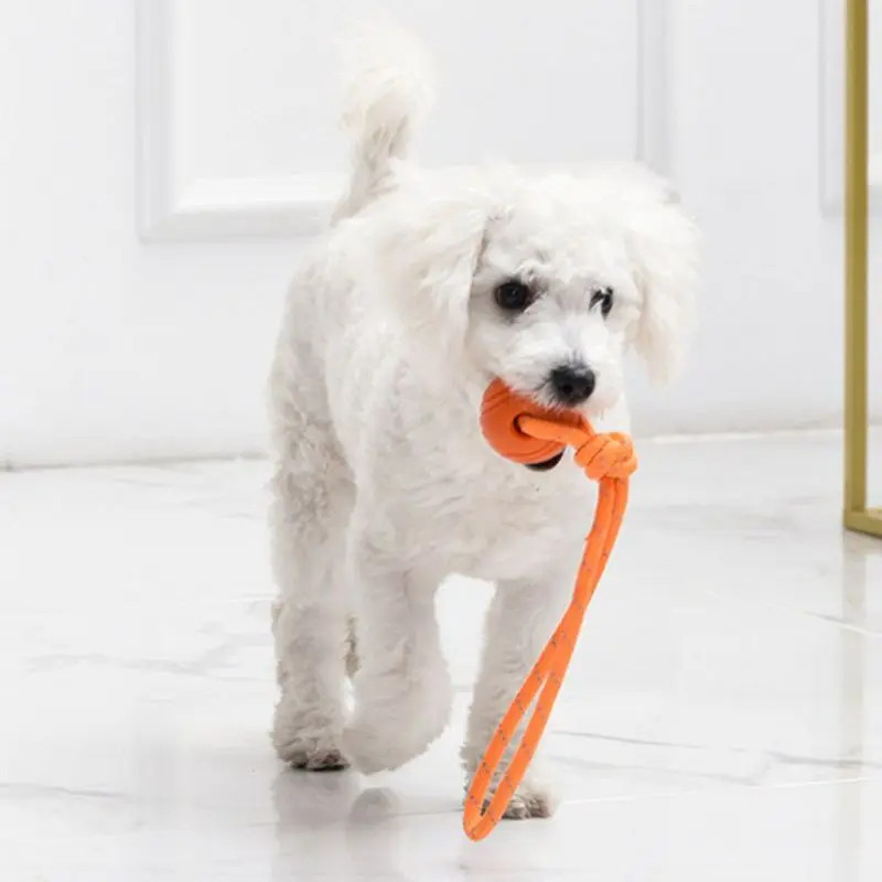 Bola de treino para cães, em c - Suction Cup Dog Tug Toy avaliação e preço