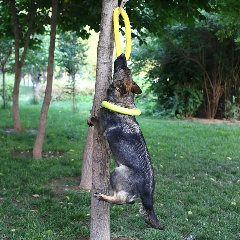Discos voadores EVA Dog Traini - Suction Cup Dog Tug Toy avaliação e preço