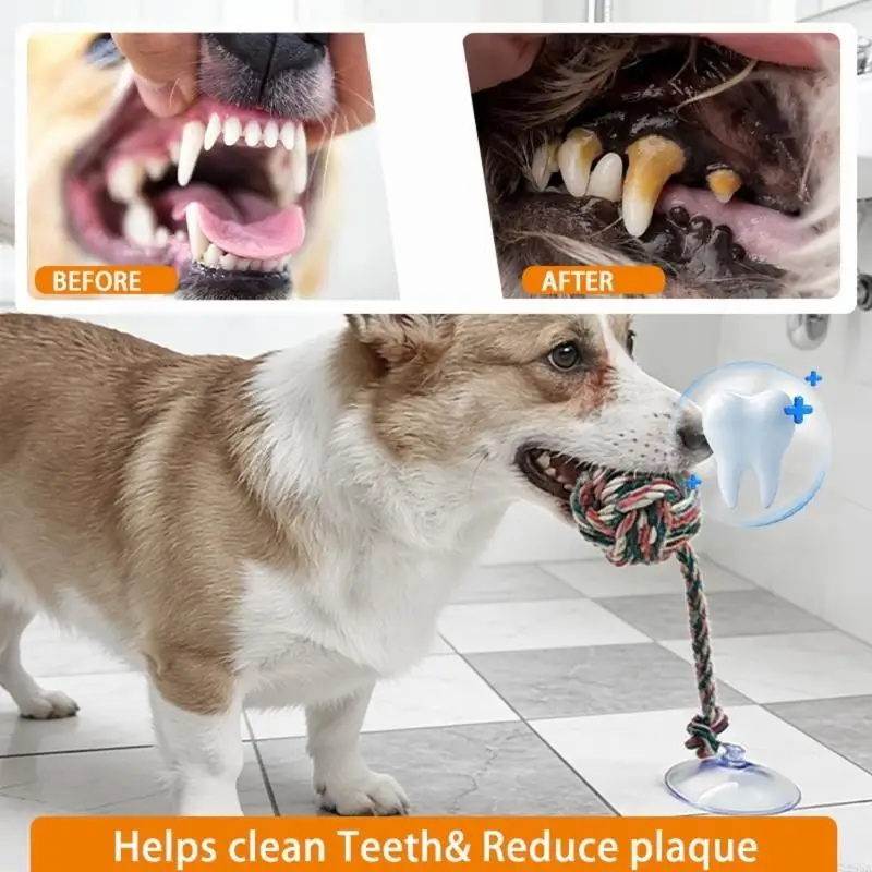 Brinquedo seguro e divertido p - Suction Cup Dog Tug Toy avaliação e preço