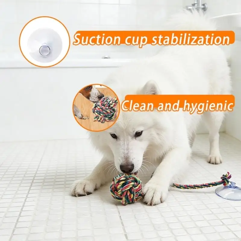 Brinquedo seguro e divertido p - Suction Cup Dog Tug Toy avaliação e preço