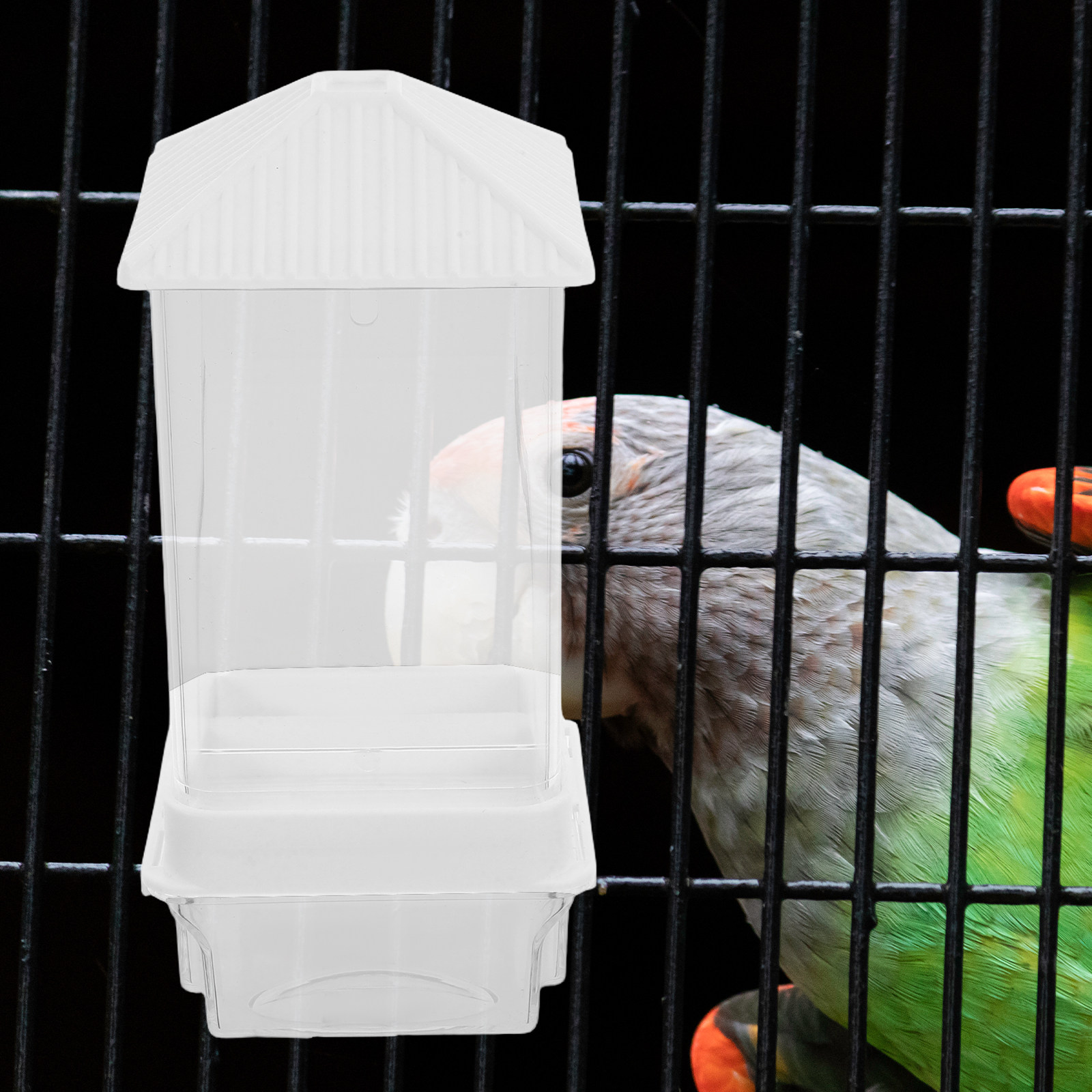 Comedouro Automático para Páss - Pet Feeders avaliação e preço