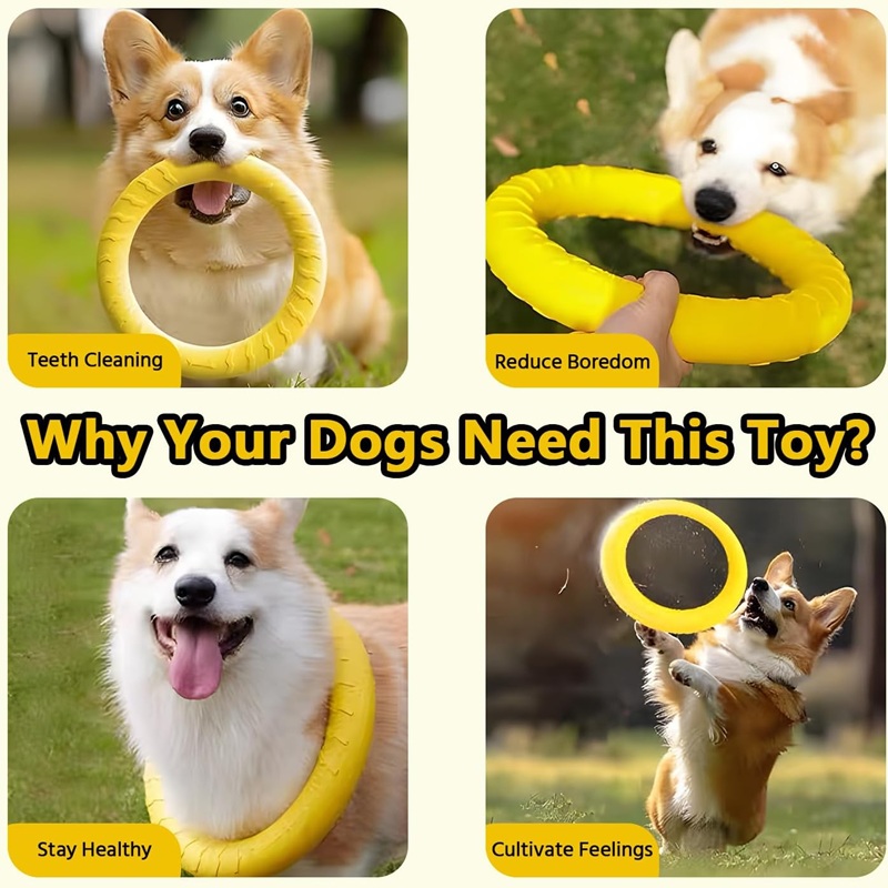 Brinquedos para Cães, Discos V - Suction Cup Dog Tug Toy avaliação e preço