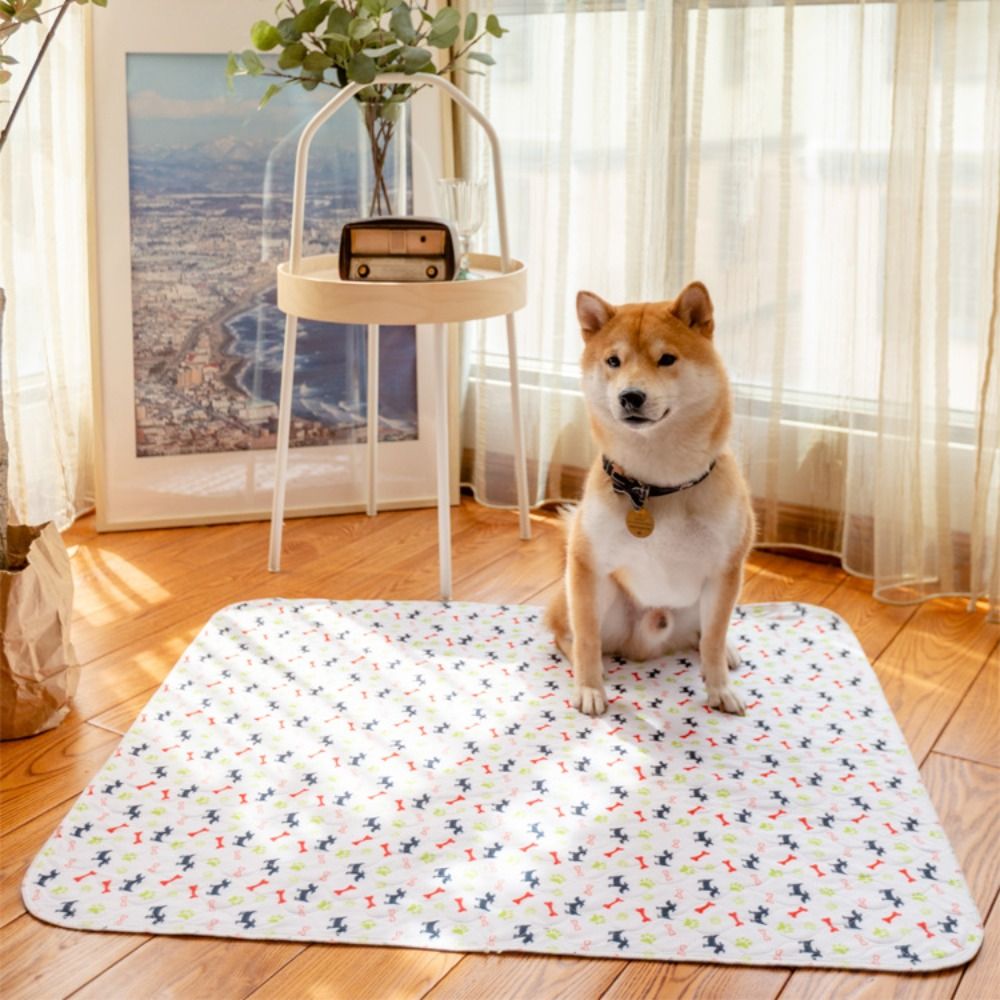 Tapete Super Absorvente para C - Pet Beds avaliação e preço
