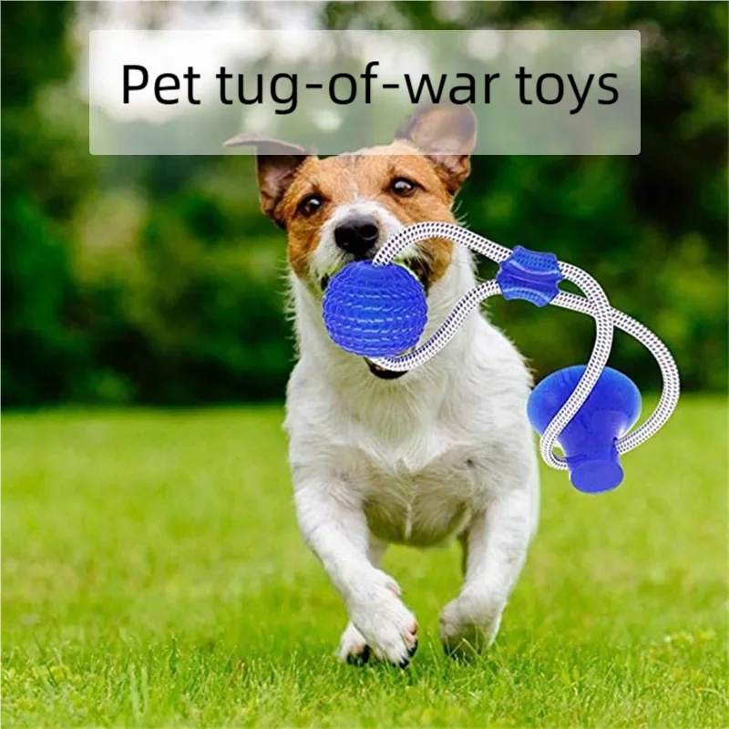 Brinquedo Interativo Durável p - Suction Cup Dog Tug Toy avaliação e preço