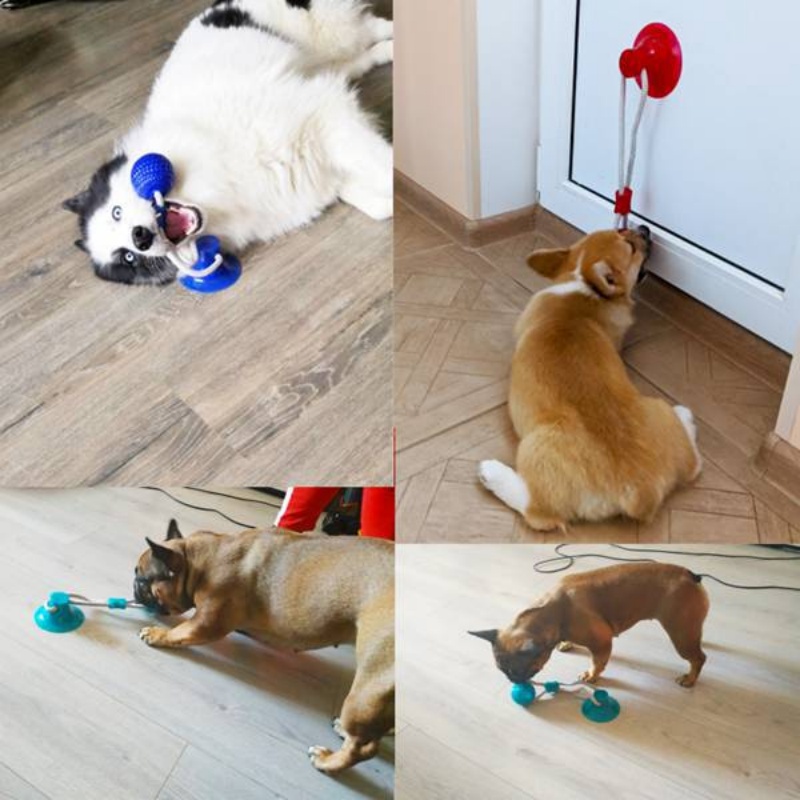 Brinquedo Interativo Durável p - Suction Cup Dog Tug Toy avaliação e preço