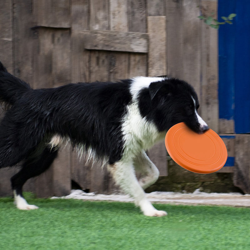 Disco voador de silicone engra - Flying Disc Dog Training Toy avaliação e preço