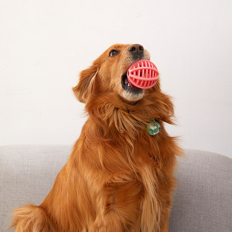 Brinquedo de Borracha Durável  - Rubber Treat Dispensing Dog Toy avaliação e preço