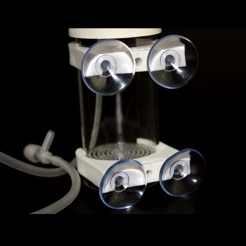 Incubadora de Ovos para Cíclid - Aquarium avaliação e preço