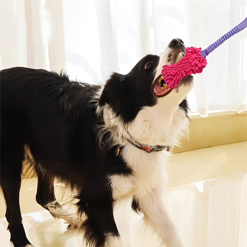 Brinquedos duráveis do cão par - Suction Cup Dog Tug Toy avaliação e preço