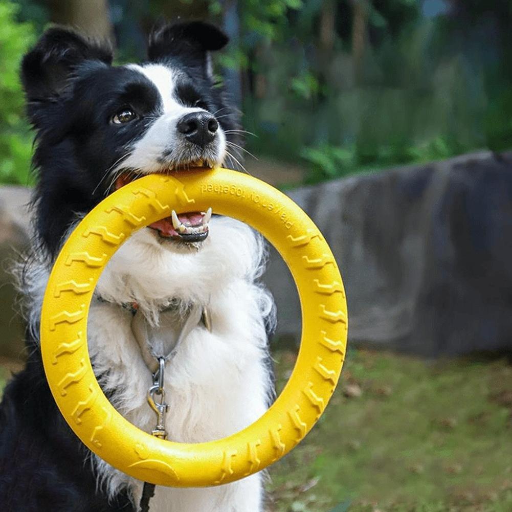 Brinquedos de Argola para Cães - Suction Cup Dog Tug Toy avaliação e preço