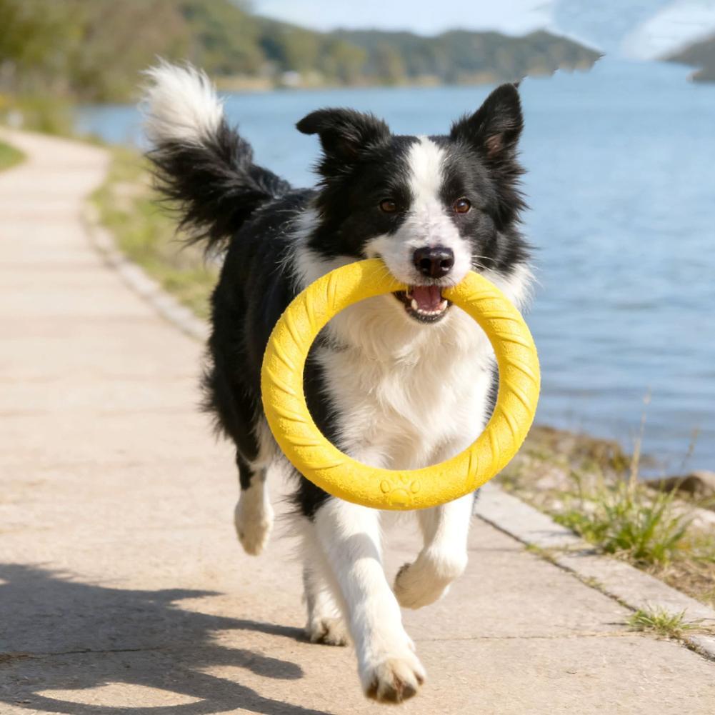 Brinquedos de Argola para Cães - Suction Cup Dog Tug Toy avaliação e preço
