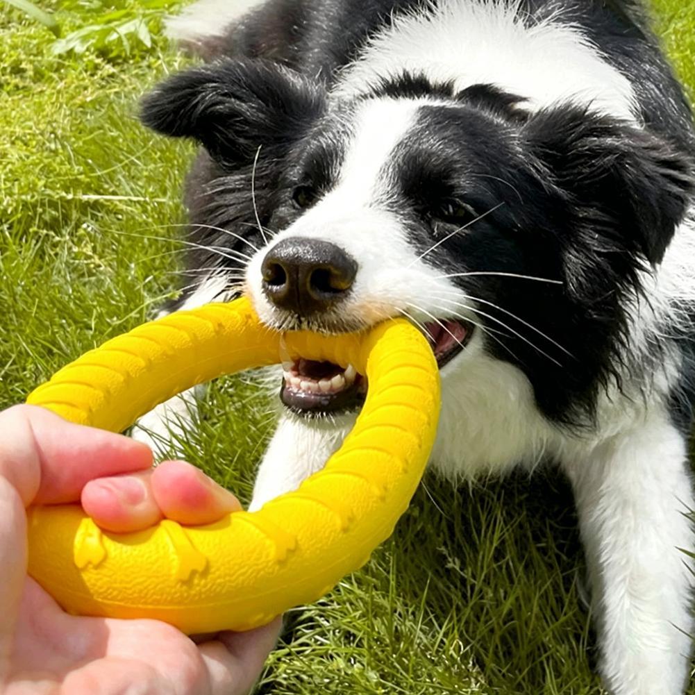 Brinquedos de Argola para Cães - Suction Cup Dog Tug Toy avaliação e preço