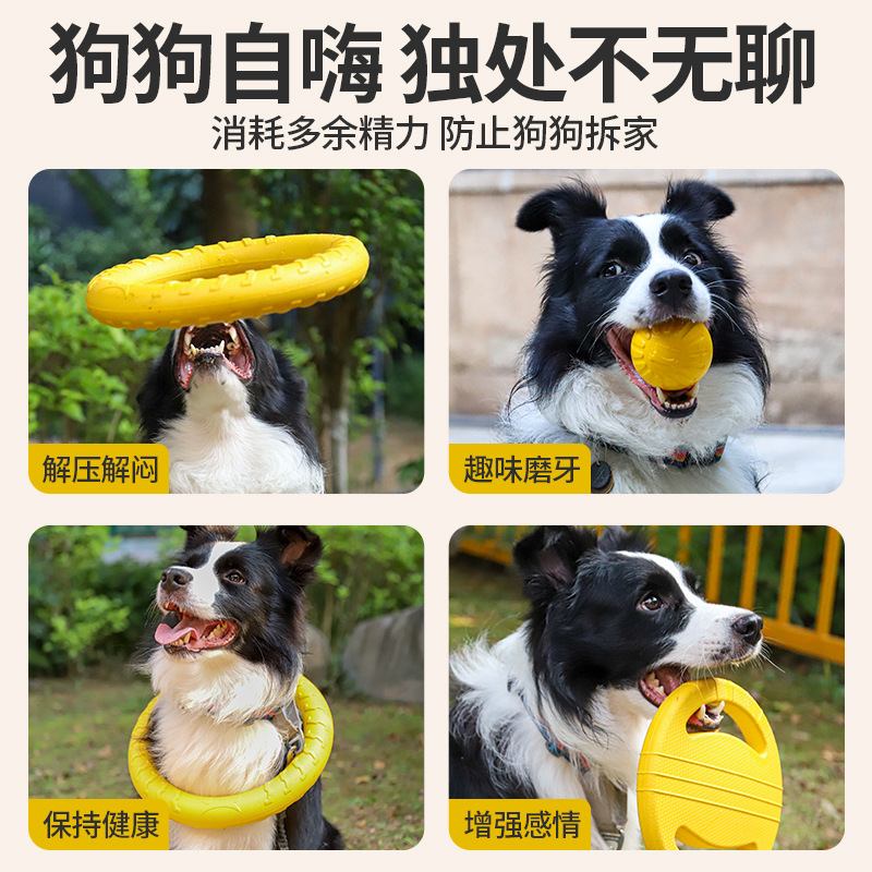 Brinquedo de Mastigar para Cãe - Flying Disc Dog Training Toy avaliação e preço