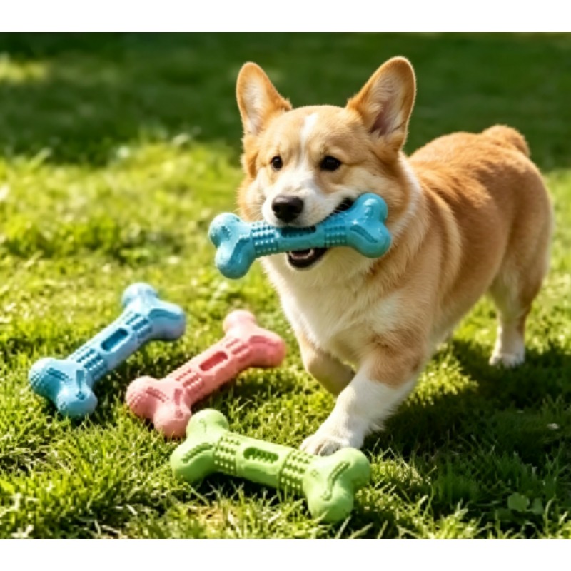 Novo Conjunto de Brinquedos Du - Teeth Cleaning Dog Chew Bone avaliação e preço