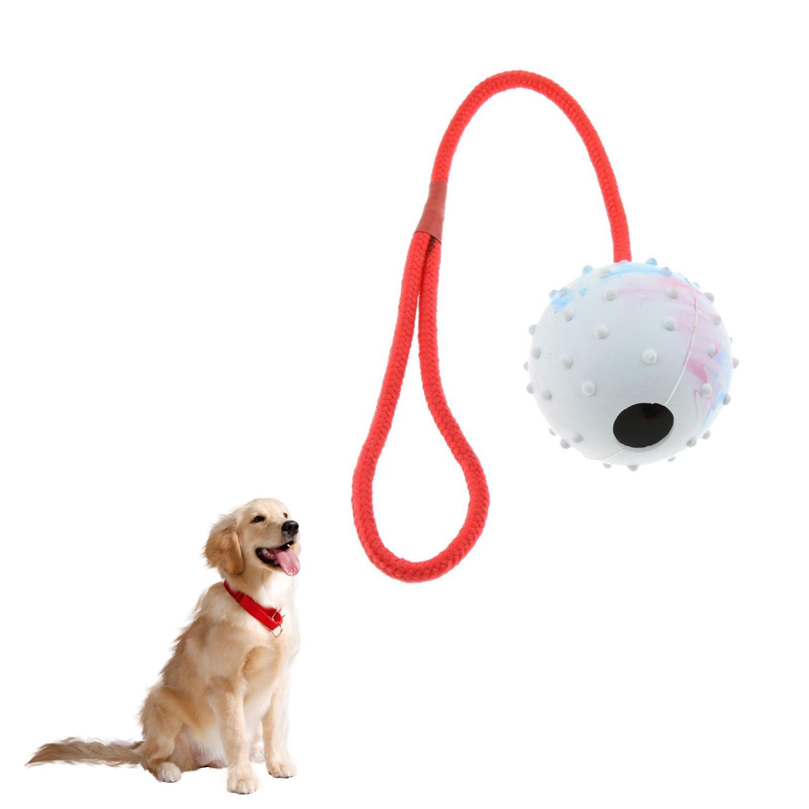 Brinquedo de Treinamento para  - Rubber Treat Dispensing Dog Toy avaliação e preço